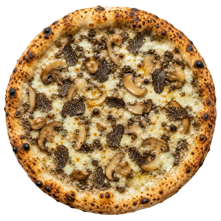 Tartufo e Funghi